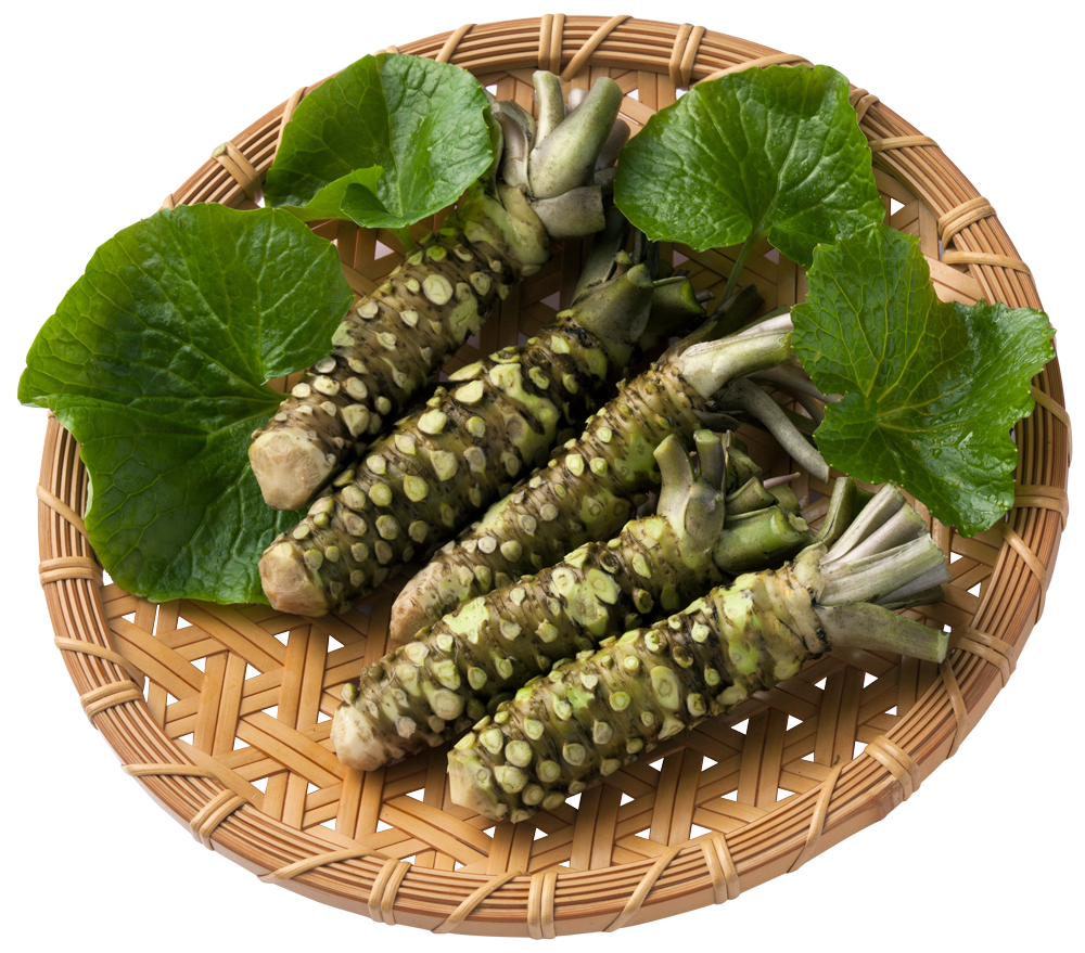 商品紹介 モロフジファーム株式会社